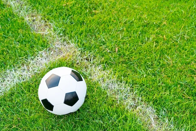 企鹅体育 体育盛况